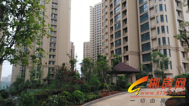 郴州君临天下,新房低价出售-郴州二手房