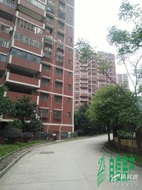 郴州九中学位房低价急售-郴州二手房