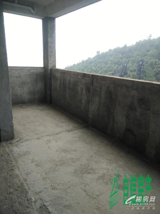 郴州九中学位房低价急售-郴州二手房